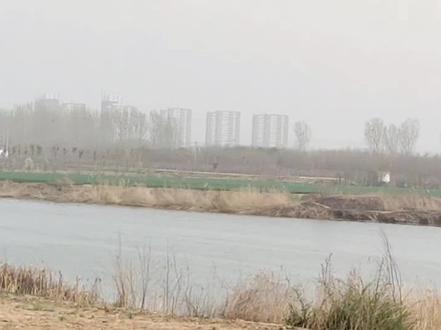 1955年划归偃师的部分区域