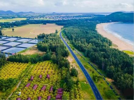 蓝田渔村
位于海南省万宁市东澳镇蓝田村的椰林小木屋,适合与家人朋友们一起自驾出行。#风景 #旅行足迹 #大自然