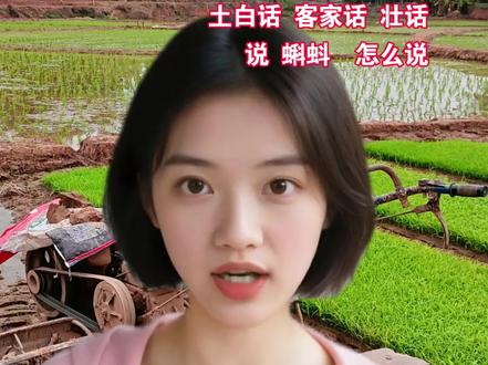 广西老乡用你们的家乡话说蝌蚪怎么说呢?#广西田间生活 #蝌蚪 #用你们家乡话说出这个东西的名字 #农村生活 #真实生活分享计划