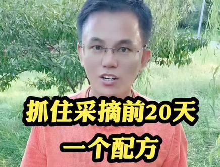 抓住采摘前20天,一个配方,让小果变大果,让酸果变甜果,产量高,品质好。#新农村计划2022 #膨果增甜 #膨果