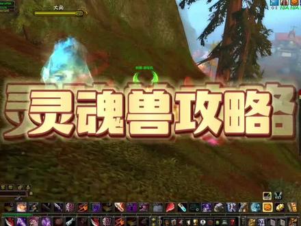 WLK怀旧服灵魂兽刷新地点与时间全攻略 #魔兽世界怀旧服 #WLK #灵魂兽 #猎人