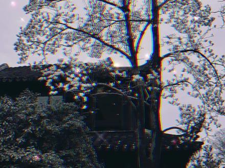 谢征醋坛子打翻了#逐玉 #广播剧 #谢征 #樊长玉 #猫耳FM