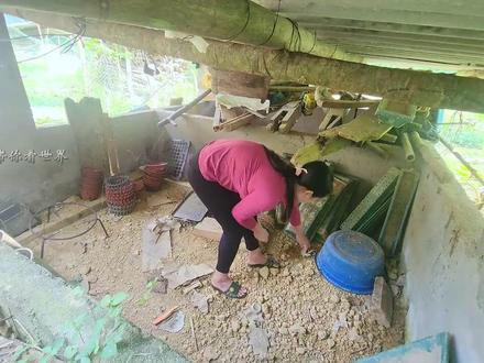 清理旧房子作为临时住所,并为新农场做准备 #田园生活 #小院改造