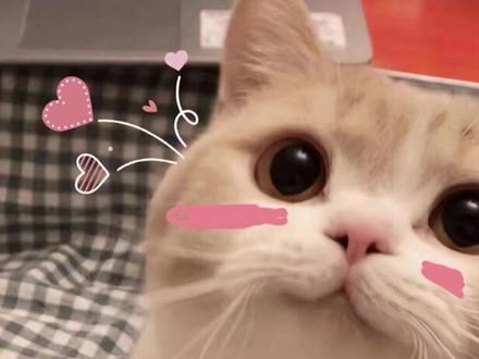 男朋友喜欢乱摸正常吗?