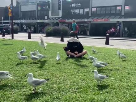 与女友分手了?张亮儿子张悦轩晒托福成绩,否认看直播关注网红