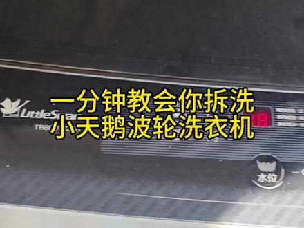 一分钟教会你拆洗小天鹅波轮洗衣机#拆洗波轮洗衣机#小天鹅波轮洗衣机