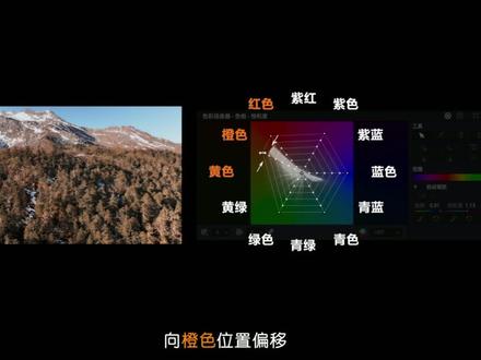 一张网,如何快速调出想要的风格色调?欢迎来到《一学就会,一做就废系列》达芬奇调色分享第三集(色彩扭曲器)#达芬奇调色 #后期制作 #新手上路