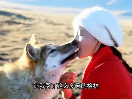 重返狼群稿费事件!原来《重返狼群》的稿费一直没结清,导致没钱换设备,难怪后面画质这么模糊!#重返狼群 #稿费 #李微漪 #格林 #热点新闻事件