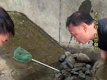 大表哥清理清道夫行动