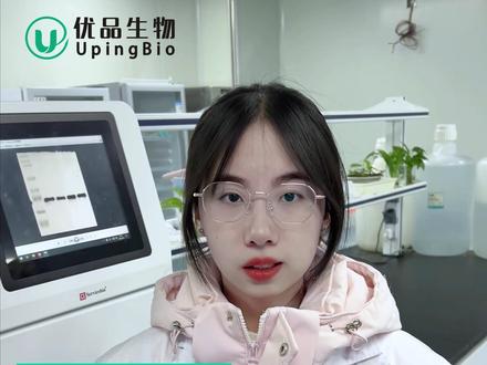 小分子vs大分子?分别怎么跑WB? #WB #科研狗的日常 #实验室日常 #研究生 #导师