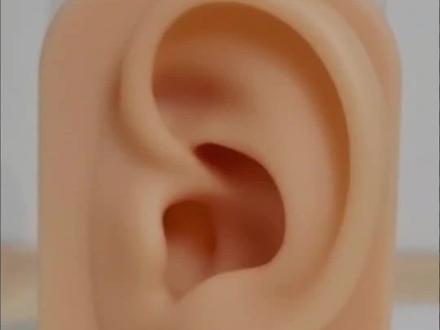 ①准备酒精、生理盐水、医用棉签和粗1.0mm 的钛合金内螺旋耳钉 球推荐5mm(太小了捏不住不好拧);酒精棉片和指套买耳钉一般都会赠送。
② 选择合适杆长的钛合金(我建议8mm和10mm都买)耳钉头和杆分开泡酒精,几分钟后捞出来用棉片擦干净。
③给耳朵上枪打的耳堵摘下来(划重点:是背后的耳堵,不是把耳钉摘下来),拿棉签蘸生理盐水给耳洞背后擦干净。
④一个手在耳朵前面固定住耳钉让它别动,另一个手拿钛合金底座去耳朵背后找耳钉尾部。让内螺旋钛合金杆子的洞口和耳钉尾部成功对接并卡住。
⑤耳朵前面手别用力,后面的手推底座,能成功且顺畅的把底座穿过耳洞并把耳钉推出去。能够避免在耳洞里乱戳找出口,实现丝滑无伤(几乎无痛)更换耳钉!
⑥棉签蘸生理盐水擦干净耳朵前方的皮肤。
⑦拧上钛合金头(拧的时候记得另一只手要抵住底座),调整杆子位置,与耳洞前后都保留一点间隙,避免挤压耳洞。
#耳洞新手 #换耳钉 #耳洞护理 #钛合金耳钉