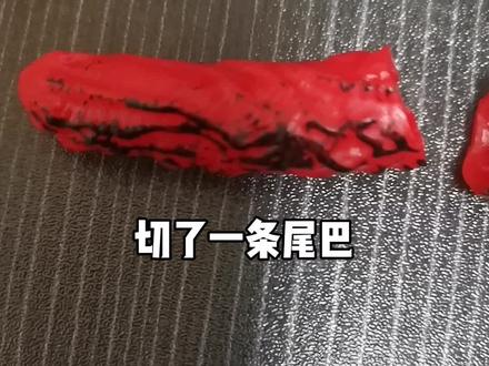 新哥斯拉软胶尾巴改可动教程#哥斯拉 #自改