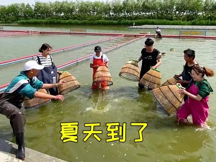 夏天到了,想找个亲近自然的地方,唐山这个多玛乐园一定要来!#周末去哪玩