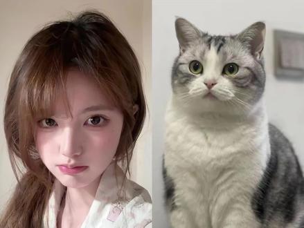 好有爱好喜欢,和猫咪相拥合照ai指令教程来啦! #豆包 #豆包ai #豆包P图已经nextlevel了 #和宠物合照 #和宠物合照指令 和猫咪合照 和自家萌宠合照