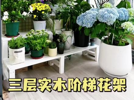 100➕DIY三层实木花架,详细制作教程及尺寸攻略,租房版莫奈花园🌿#阳台改造 #阳台绿植 #花架置物架 #抖音有好家 #抖音好家大赏