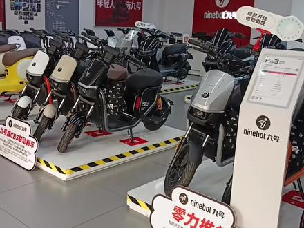 九号新国标FZ290和FZ3110有什么区别,怎么选择?#电动车 #九号真智能