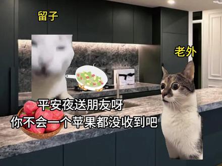 留学生在国外怎么过圣诞节
#内容太过真实 #留学生活 #留学生日常