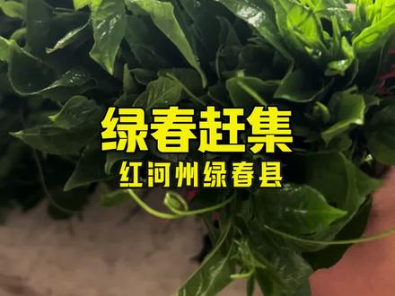 红河州的绿春县,每周六的赶集也很有意思。#赶集