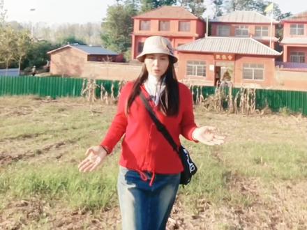 周冢遗址位于新蔡县城西5公里原十里铺村委,北临小洪河。
遗址西北东南向原为一个高台遗址,由于水土冲刷,断断续续分为3节。西半部被冲断,后人把西边称周冢,中间称平冢,东南部称黄冢。周冢高6米,东西长56米,南北长47米;平冢东西长90米,南北长182米;黄冢东西长123米,南北长203米。3处总面积为44960平方米。遗址形状不规则,灰土、文化层较厚,文物散落较密,延续时间较长。
1953年北京考古专家裴文中来此考察,鉴定为商周遗址。周冢遗址是一处商周文化等不同时期的大型文化遗址,2008年6月被公布为第五批河南省文物保护单位。#宣传家乡旅游文化 #历史文化 #周冢遗址