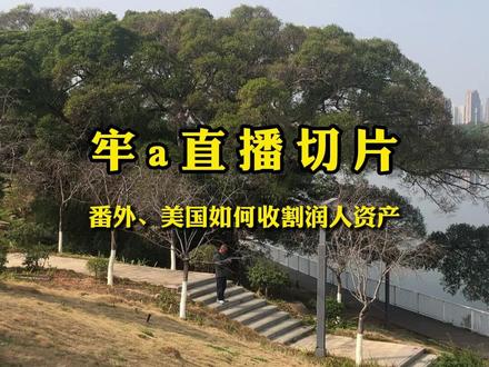 牢a直播切片,番外、美国如何收割润人资产#牢a #斯奎奇大王
