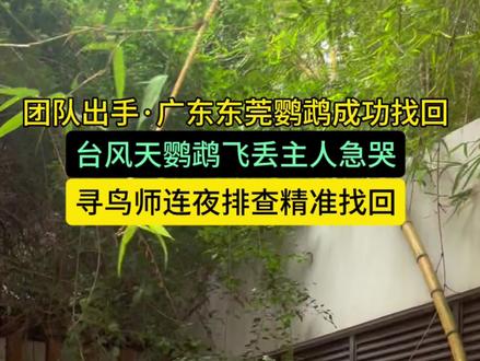 鹦鹉飞走了怎么找回本地找鸟团队找鹦鹉方法 📍广东省东莞市
台风天东莞粉丝的和尚鹦鹉飞丢,外面狂风暴雨,鹦鹉从家里飞出去后主人十分担心,出去找了几圈都没有找到,赶紧联系我们到达现场。寻鸟队长顶着台风赶到,先勘察现场环境,和粉丝沟通清楚丢失细节,根据风向和丢失情况,凭借丰富的经验迅速制定搜寻方案,划定出搜索范围后使用专业设备进行排查。周围全是野生鸟加上外头风雨很大,两次锁定都被惊飞。队长根据情况调整方案,终于在第二天早上第三次锁定鹦鹉,通过诱捕方法把鹦鹉装回包里,粉丝当场破防泣不成声,连夜搜寻成功找回鹦鹉,圆满完成任务。
#找鸟 #找鹦鹉 #鹦鹉飞走了怎么找回 #找鸟团队 #鹦鹉飞丢了怎么办