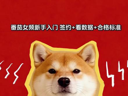 番茄小说签约入门以及数据标准