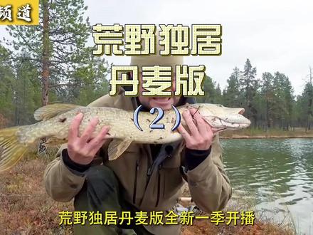 荒野独居丹麦版(2) #户外 #荒野的召唤垂钓者 #野外建造