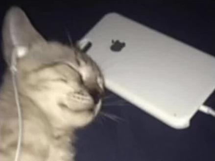 新年合辑歌曲
#新年合辑 #恭喜发财 #Chinae #everywherewego #春风十里报新年