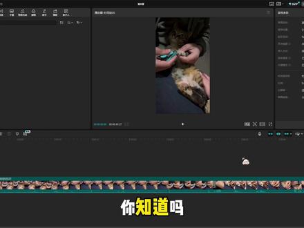 剪映播放器区功能 从0开始学剪辑 #剪辑教程 #剪映 #播放器功能 #静帧画面 #从0开始学剪映