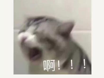 刘婷婷,很抱歉这样认识你 #万万没想到 #娱乐评论大赏