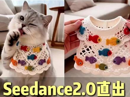 如何使用Seedance2.0制作带货视频#剪映AI视频生成 #AI工具 #AI生视频花式整活 #seedance2