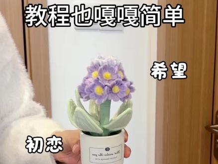 用扭扭棒做,球抱春花小盆栽,它的花语是初恋,希望和不悔,教程也嘎嘎简单##宝藏生活家企划 #用一张图证明你是手工人 #用一张照片证明你是花友 #报春花 #交换一张你的奇奇怪怪手工作品