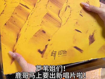 新唱片到家不会听怎么办?!没关系看这期#鹿晗#鹿晗专辑 #鹿晗黑胶#我们的明天 #问加1986