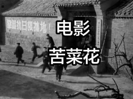 完整版电影《苦菜花》 🎬 电影《苦菜花》(1965,八一厂)
核心:胶东抗日根据地,普通母亲冯大娘从苦难中觉醒、投身革命的故事。
一、背景与开端
- 1937年,胶东王官庄。地主王唯一(汉奸)霸占土地、打死冯大娘丈夫,逼走大儿子德刚 。
- 冯大娘(曲云 饰)带子女艰难度日,胆小本分 。
二、觉醒与投身
- 1940年,日寇扫荡。大女儿娟子(杨雅琴 饰)参加地下党姜永泉领导的武装暴动,处决王唯一,建立抗日政权 。
- 冯大娘从担心到支持,送二儿子德强参加八路军,自己成为革命堡垒户。
- 汉奸王柬芝(王唯一堂弟)以校长身份潜伏,暗中告密。
三、高潮:牺牲与抗争
- 区干部赵星梅(德刚未婚妻)来村,告知德刚为保护兵工厂牺牲 。
- 王柬芝告密,敌人突袭王官庄,赵星梅为掩护群众牺牲 。
- 冯大娘被捕,被严刑逼供兵工厂下落。她把敌人引入地雷区,保住兵工厂。
- 小女儿嫚子被抓受刑,母女宁死不屈。
四、结局
- 八路军反攻,救出冯大娘母女。
- 王柬芝暴露逃窜,被冯大娘亲手开枪击毙。
- 冯大娘从普通农妇成长为坚定的革命战士。
