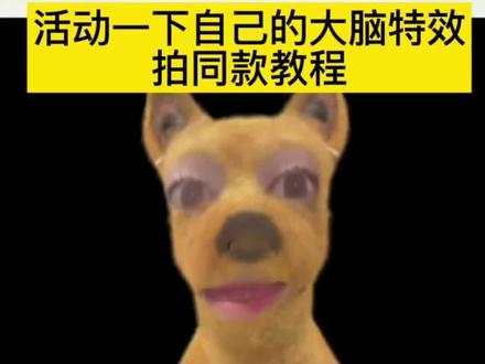 活动一下自己的大脑特效教程
活动一下自己的大脑特效
活动一下自己的大脑特效剪映
活动一下自己的大脑在哪玩
活动一下自己的大脑在哪拍
活动一下自己的大脑原视频
活动一下自己的大脑bgm说的什么
活动一下自己的大脑bgm是日语吗
活动一下自己的大脑通关的
活动一下自己的大脑动物
活动一下自己的大脑动物节奏大挑战在哪玩
活动一下自己的大脑怎样合拍
活动一下自己的大脑模版
活动一下自己的大脑
活动一下脑子游戏合拍
活动一下自己的大脑数学
活动一下大脑认动物
活动大脑的小游戏
活动一下自己的大脑
#活动一下自己的大脑特效#活动一下自己的大脑合拍#活动一下自己的大脑教程#活动一下自己的大脑#剪映