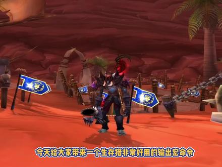 WLK猎人输出宏,手法更加简化,434循环打出完美爆炸射击