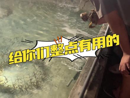 1:海马的适温范围7度到30度适宜水温18°到28°建议温度在22°到26°初生苗只能承受2℃温差而6厘米以上的小海马可承受4℃以内的温差。
2;水质:海马对水质的要求较高,
透明度35以上,无虫及时清理海马排泄物.
#生泰尔水产 #农村创业养殖水产养殖 #水产技术 #现场实拍 #海马养殖