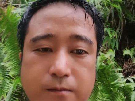 砍杂竹300一吨,给有想来的,篮竹200一吨。我视频里这种是300一吨的。