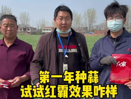 小伙子第一年种蒜种了18亩,没用过红霸,今天来试一试,非常期待使用后的效果!!!#红霸 #大蒜种植 #助力三农 #新农人计划2022