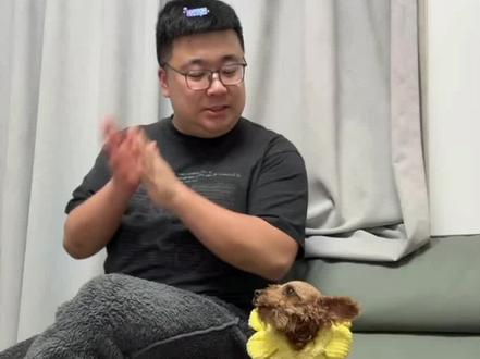 好狗狗 好音乐#搞笑 #摸摸哥