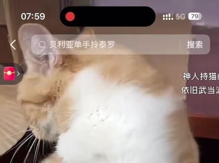 哈喽 谁能告诉我这个动作具体该怎么做?#持猫