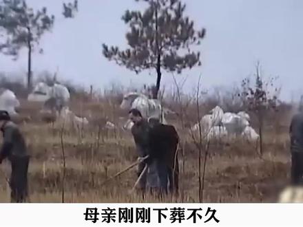 母亲刚刚下葬不久,儿子连续七天梦见母亲,当他打开棺材的时候
里面的情形吓得他双腿发软#社会百态 #大案纪实 #家庭 #纪录片