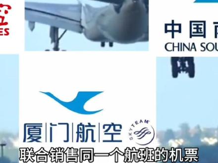 【航空知识】什么是代码共享航班#你在抖音搜什么 #抖音百分大战 #航空知识 #飞机 #航班
