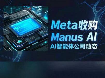 国内AI智能体公司梳理 #Manus #股票Meta#财经#股民交流