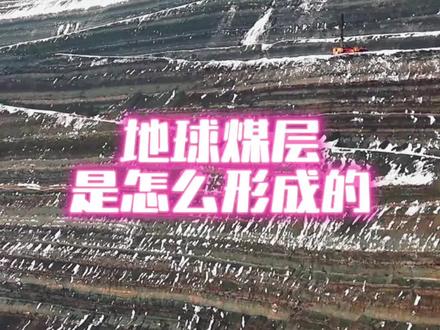 煤层真的是植物变来的吗? #宇宙#科普