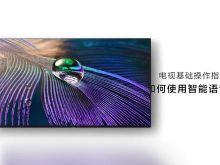 电视基础操作指南(九):如何使用智能语音#索尼#电视 BRAVIA#智能生活#数码科技