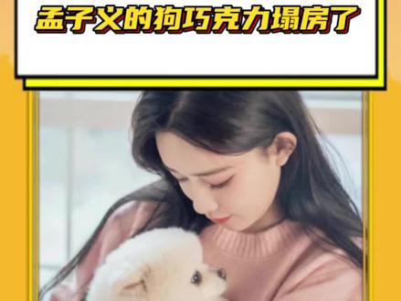 #曾舜晞曝孟子义狗狗在房车上拉屎 巧克力别看,是恶评!#孟子义巧克力 #曾舜晞 #搞笑 #万万没想到