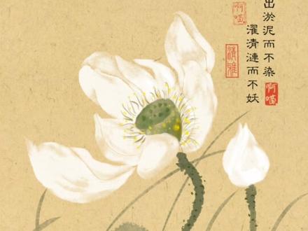 荷花很多样,今天出淤泥而不染,濯清涟而不妖的荷花,新的一年挑战画遍所有花#零基础学画画 #挑战画遍所有花 #2026绘画开年挑战 #抖音年味艺术图鉴 #画渣本渣 @DOU+上热门