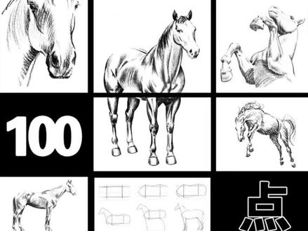 画马知识100点|大合集
#怎么画马#马怎么画#如何画马 #画马教程