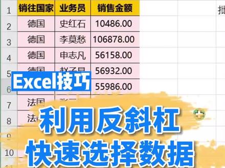 #excel技巧 利用反斜杠快速选择数据3 #wps表格 #office办公技巧 #知识分享 #办公小技巧